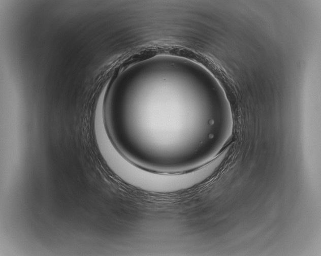 X0000113311110200909211136