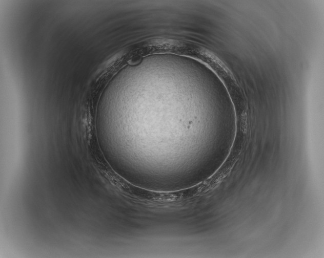 X0000113311111200909211136