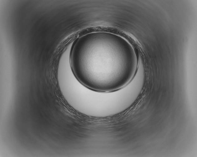 X0000113311112200909211136