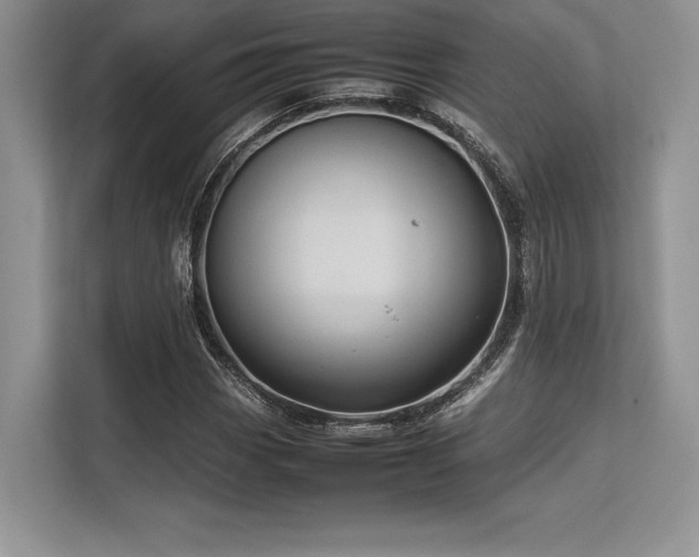 X0000113311113200909211136