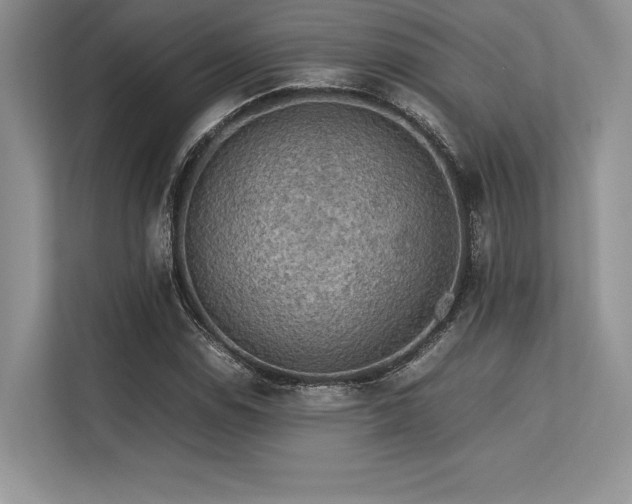 X0000113311114200909211136