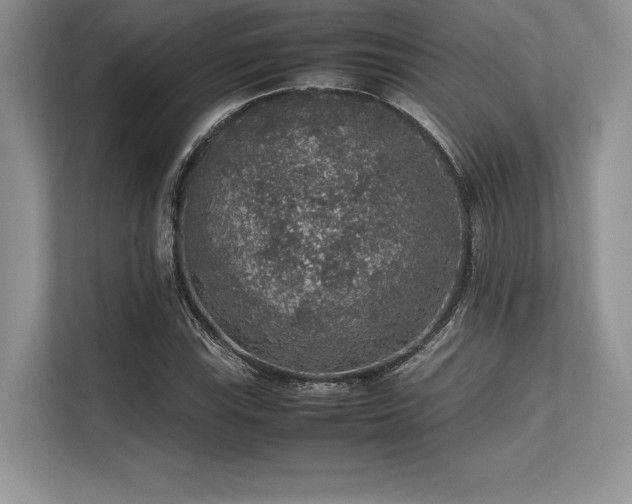 X0000113311115200909211136