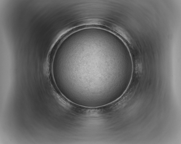 X0000113311116200909211136