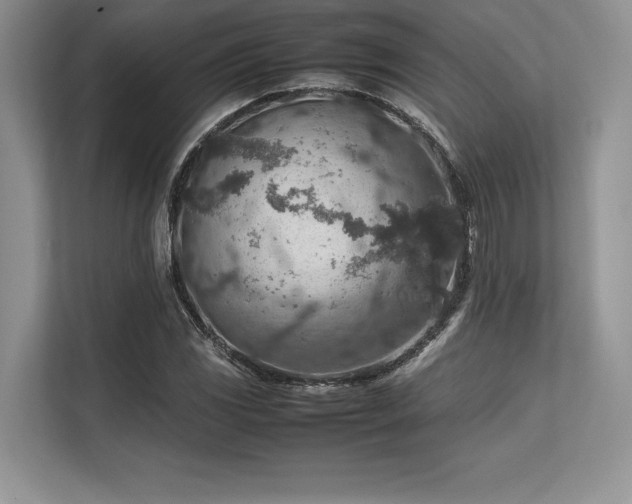 X0000113311117200909211136