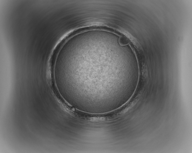 X0000113311118200909211136