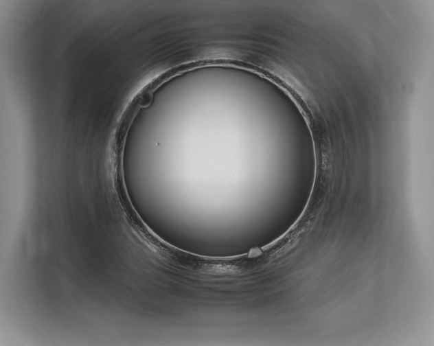 X0000113311119200909211136