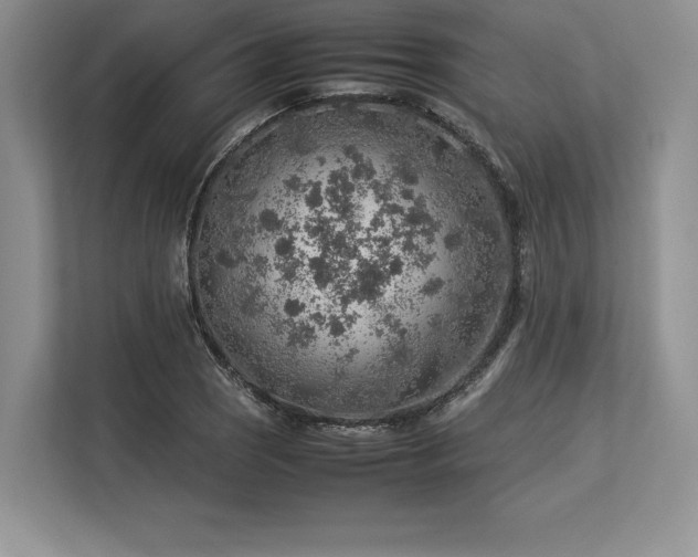 X0000113311121200909211136