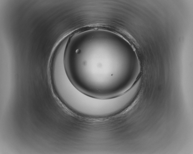 X0000113311122200909211136