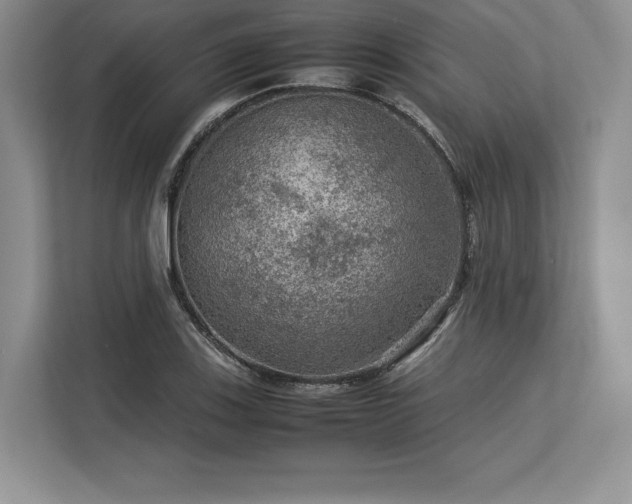 X0000113311123200909211136