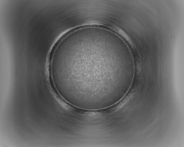 X0000113311124200909211136