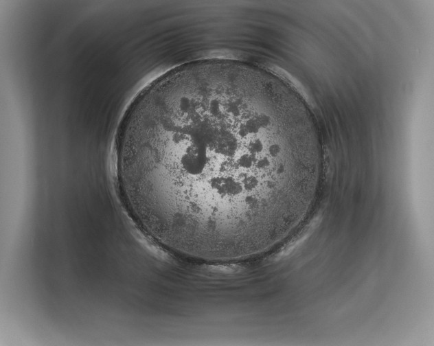 X0000113311125200909211136