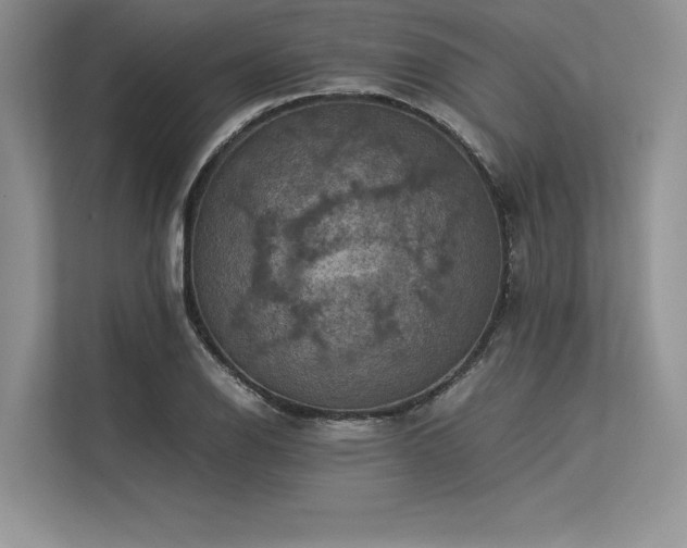 X0000113311126200909211136