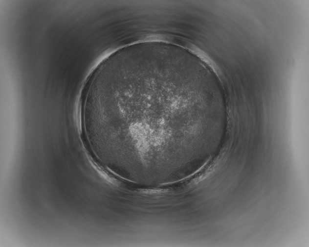 X0000113311127200909211136