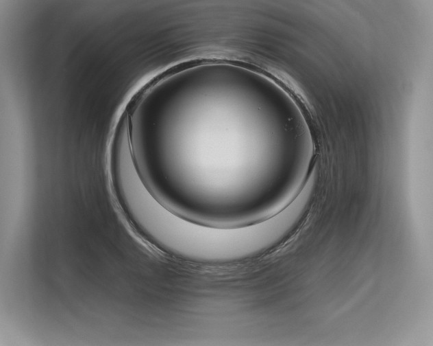 X0000113311128200909211136