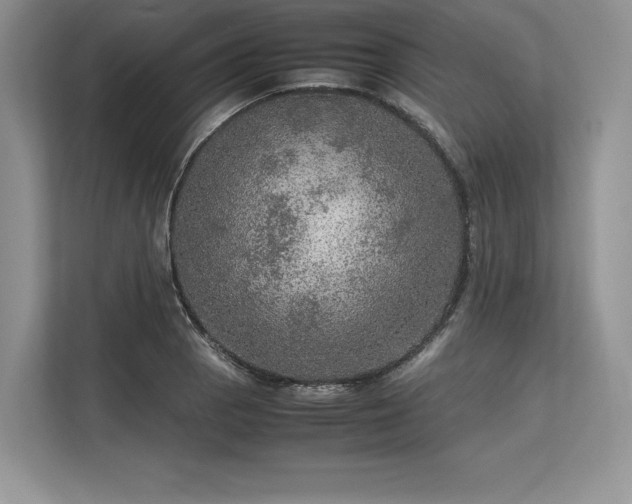 X0000113311129200909211136