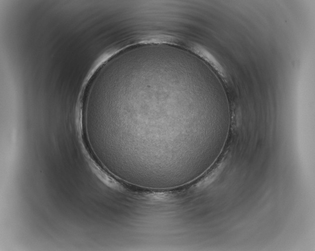 X0000113311130200909211136