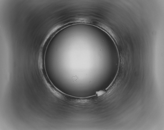 X0000113311131200909211136