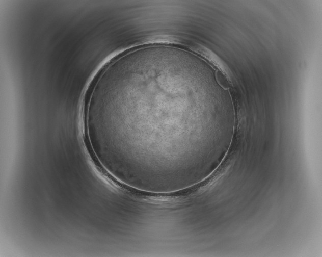 X0000113311132200909211136