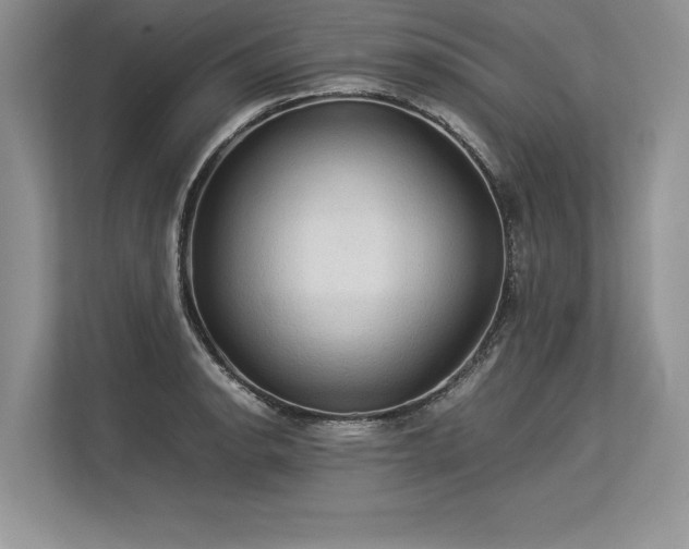 X0000113311134200909211136