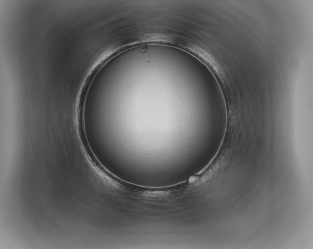 X0000113311135200909211136