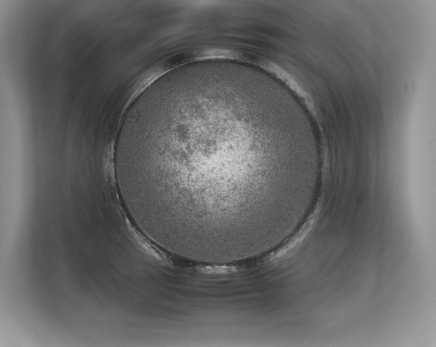 X0000113311137200909211136