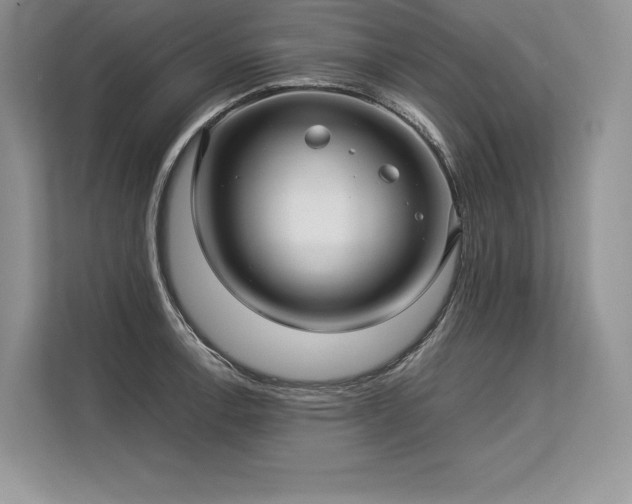 X0000113311138200909211136