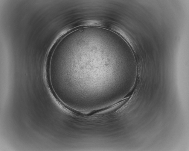 X0000113311139200909211136