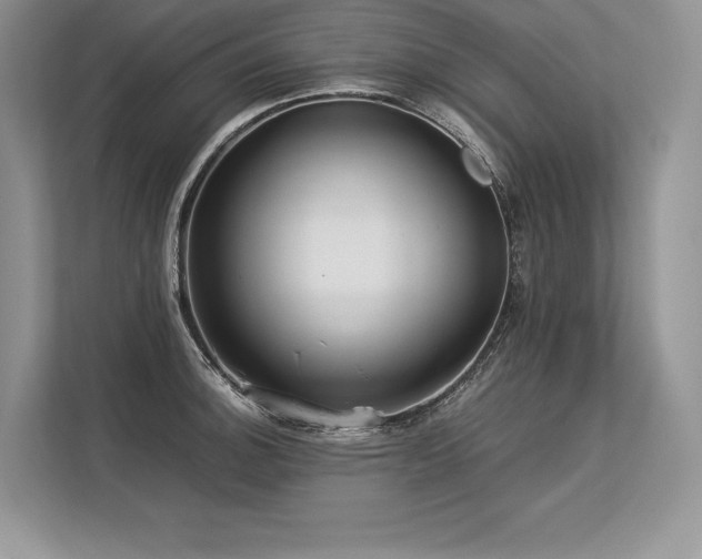 X0000113311140200909211137