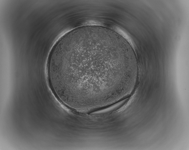 X0000113311141200909211137