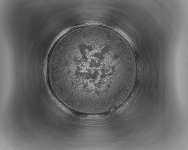 X0000113311142200909211137