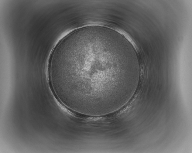 X0000113311143200909211137