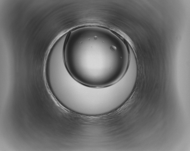 X0000113311144200909211137