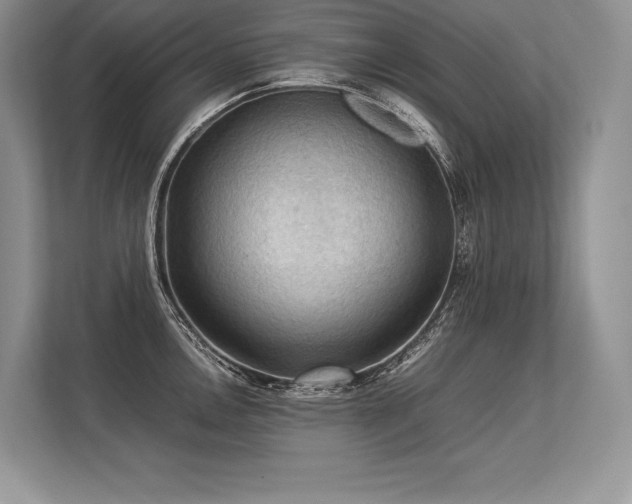 X0000113311146200909211137