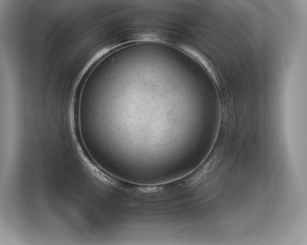 X0000113311147200909211137