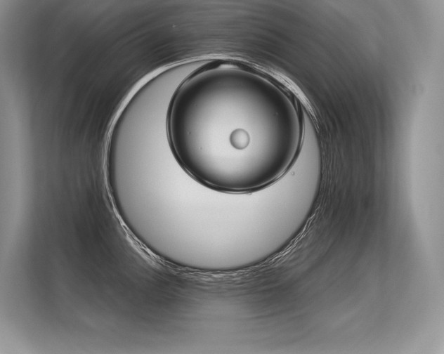 X0000113311148200909211137