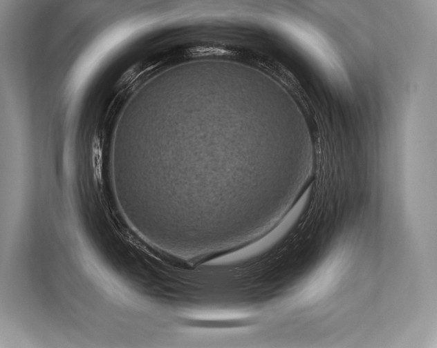 X0000113311151200909211137