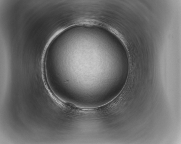 X0000113311152200909211137