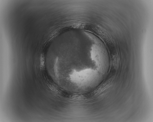 X0000113311154200909211136