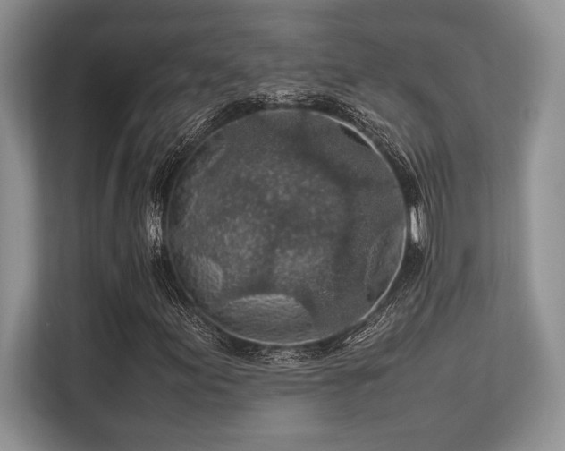 X0000113311155200909211136