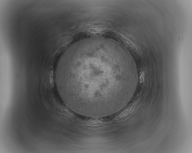 X0000113311156200909211136