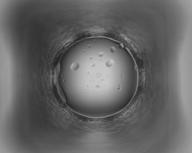 X0000113311157200909211136