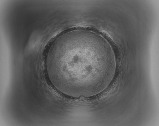 X0000113311159200909211136