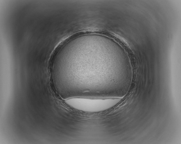 X0000113311160200909211136