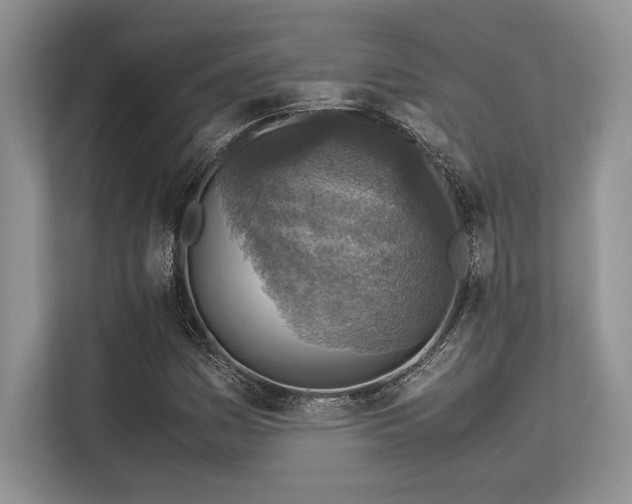 X0000113311161200909211136