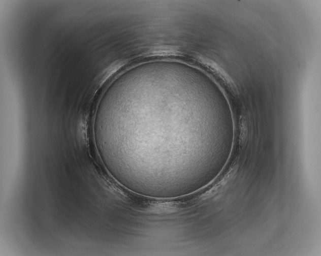 X0000113311162200909211136