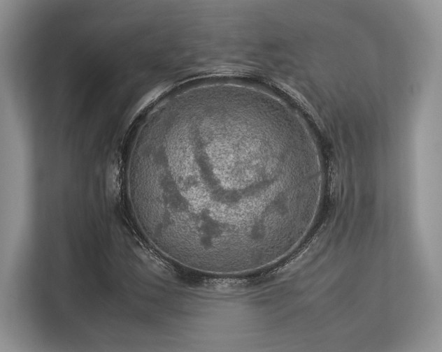 X0000113311163200909211136