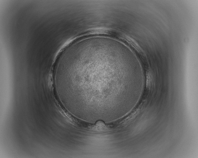 X0000113311164200909211136