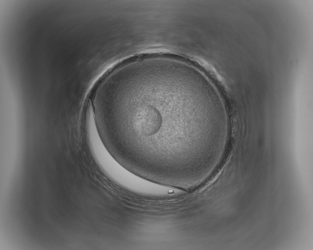 X0000113311167200909211136