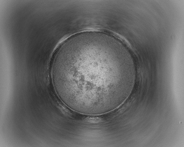 X0000113311168200909211136