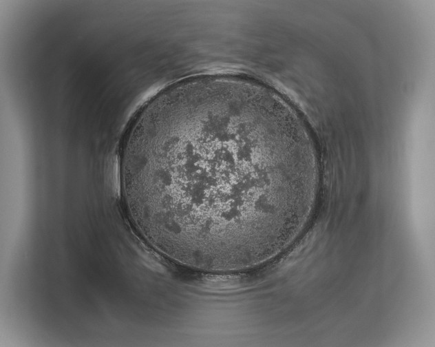 X0000113311171200909211136